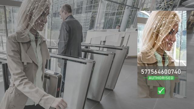 Facial Recognition