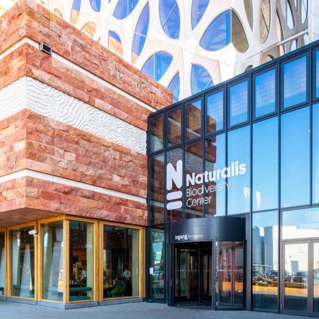Projecten | Tournex 4 Naturalis Leiden | Boon Edam